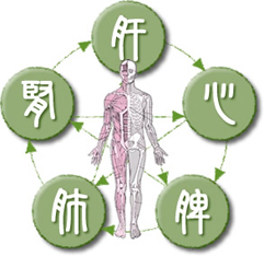 漢方における五行思想