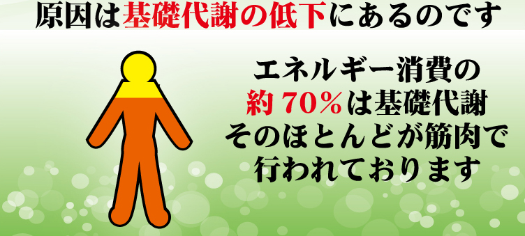 原因は基礎代謝の低下にあるのです エネルギー消費の約70%は基礎代謝そのほとんどが筋肉で行われております