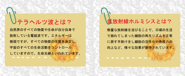 テラヘルツ波とは？自然界のすべての物質や生命が自分自身で放射している電磁波です。エネルギーは微弱ですが、すべての物質の性質を決定し、宇宙のすべての生命活動をコントロールしていますので、生命光線といわれています。 低放射線ホルミシスとは？微量な放射線を浴びることで、日頃の生活で崩れてしまった細胞の再生リズムを正常に戻す手助けをし細胞の活性化や免疫力の向上など、様々な効果が期待されています。